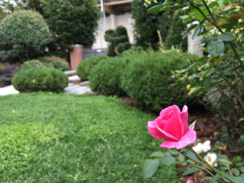 Bed and breakfast Rosa Del Grappa Extérieur photo